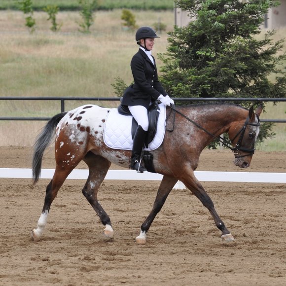 Meet your Posher, Erin - Picture 4 of 6